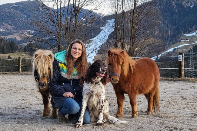 Viele Tiere rund um den Bauernhof