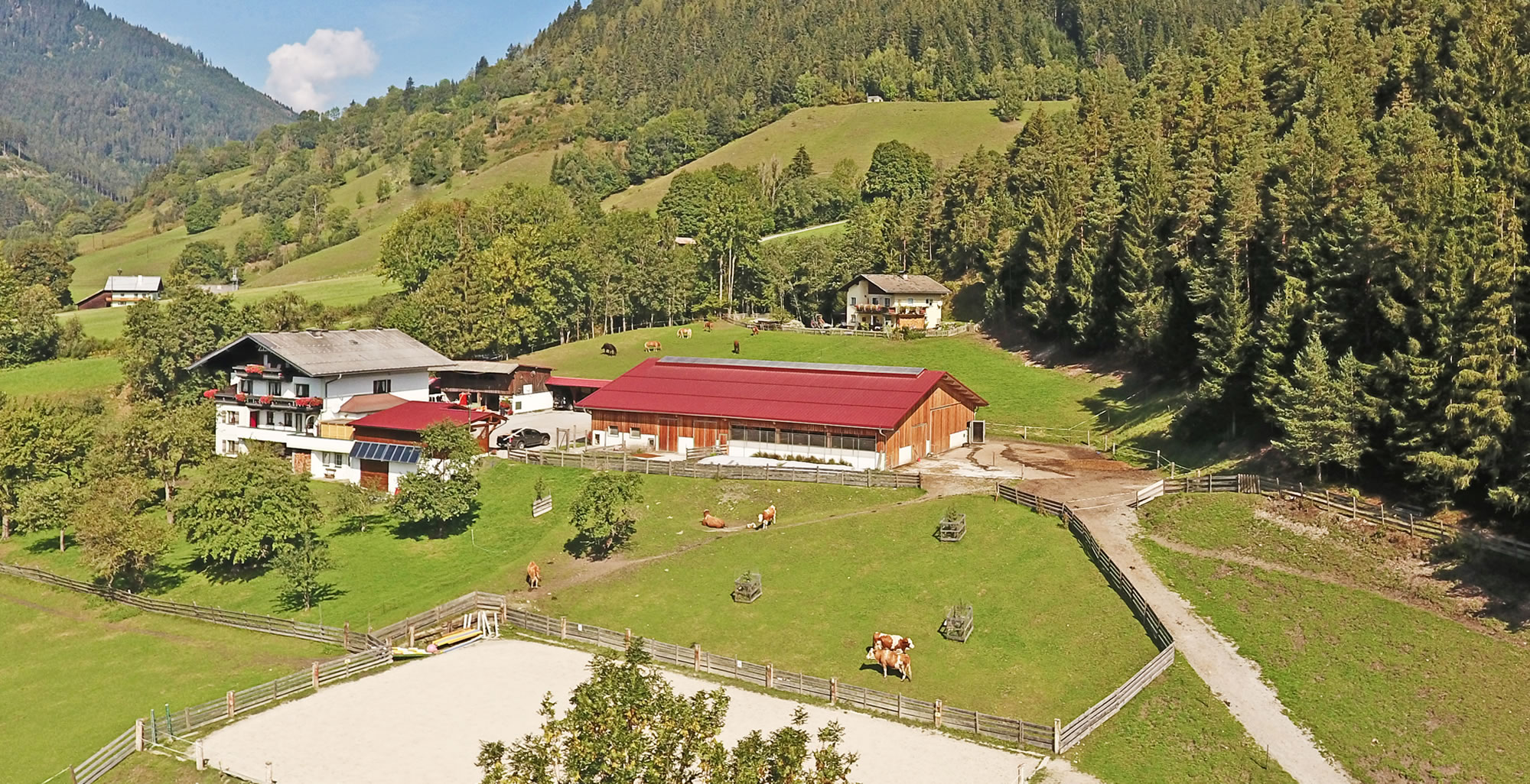 Urlaub am Bio-Bauernhof Saumerhof in Mandling, Schladming