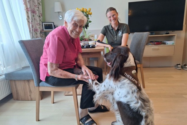 Therapiehund besucht Seniorenheim