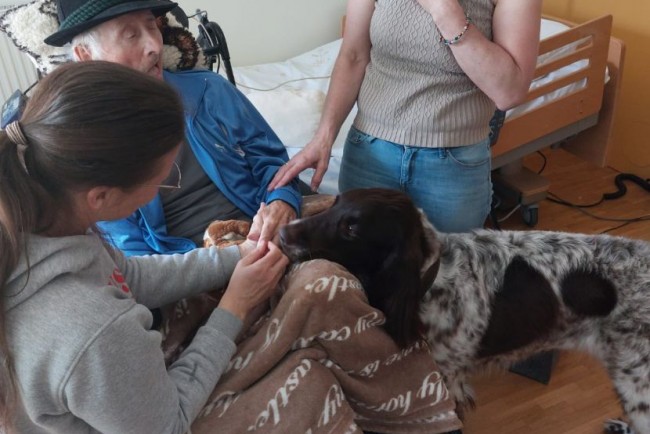 Therapiehund besucht Seniorenheim