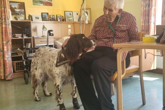 Therapiehund besucht Seniorenheim